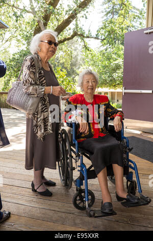 Les femmes âgées, les invités du mariage, mariage, Marin Art et Centre de jardin, Ross, Marin County, California, United States Banque D'Images