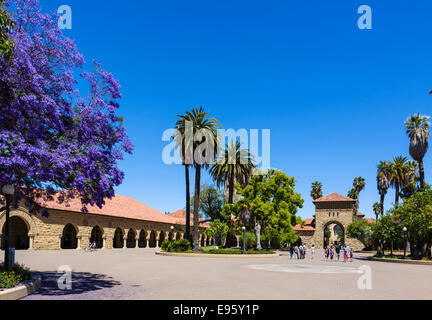 Quad principal, Stanford University, Palo Alto, Californie, États-Unis Banque D'Images