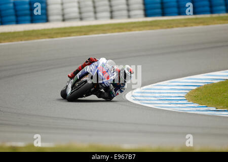 Phillip Island, Australie. 19 Oct, 2014. Coureur Espagnol Jorge Lorenzo sur bike numéro 99 sur son chemin à une deuxième place dans la catégorie MotoGP en 2014 le Grand Prix Moto d'Australie Tissot : Jandrie crédit lombard/Alamy Live News Banque D'Images