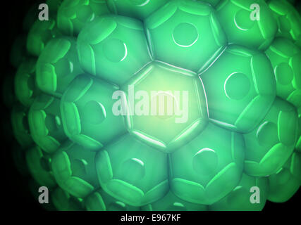 Vue rapprochée d'une paroi cellulaire biologie - contexte Banque D'Images
