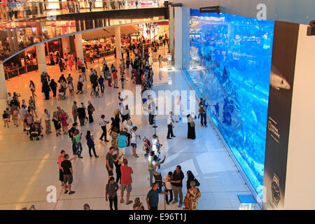 Dubaï, Émirats arabes unis - octobre 07,2014 : Aquarium de Dubaï Mall - centre commercial le plus grand du monde , Downtown Burj Dubai à Dubaï, dans les Émirats ara Banque D'Images