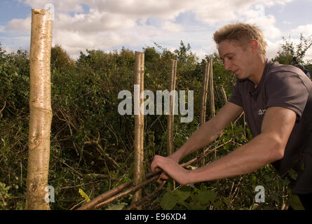 Homme ayant participé à l'Hampshire hedgelaying championnats 2014, Medstead, Hampshire, Royaume-Uni. Banque D'Images