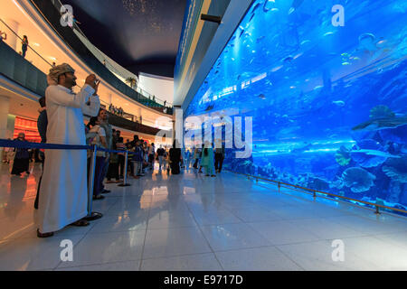 Dubaï, Émirats arabes unis - octobre 07,2014 : Aquarium de Dubaï Mall - centre commercial le plus grand du monde , Downtown Burj Dubai à Dubaï, dans les Émirats ara Banque D'Images