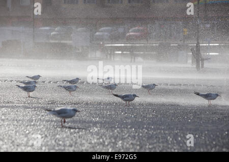 New Brighton, Royaume-Uni. 21 Oct, 2014. Gonzalo ouragan a frappé New Brighton Wallasey, dans le nord-ouest de l'Angleterre le mardi 21 octobre 2014 comme une alerte météorologique a été mis en place par le Met Office pour la majorité des pays pour le vent et la pluie. Crédit : Christopher Middleton/Alamy Live News Banque D'Images