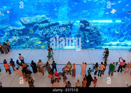 Dubaï, Émirats arabes unis - octobre 07,2014 : Aquarium de Dubaï Mall - centre commercial le plus grand du monde , Downtown Burj Dubai à Dubaï, dans les Émirats ara Banque D'Images