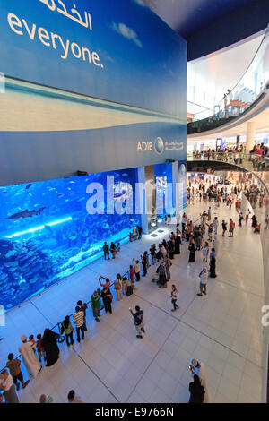 Dubaï, Émirats arabes unis - octobre 07,2014 : Aquarium de Dubaï Mall - centre commercial le plus grand du monde , Downtown Burj Dubai à Dubaï, dans les Émirats ara Banque D'Images