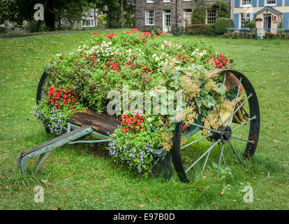 Un vieux panier en bois décorées de fleurs d'été dans le village de galles, Beddgelert. Banque D'Images