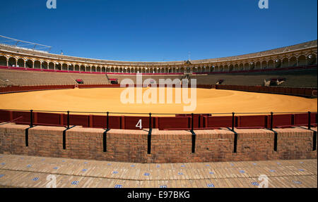 La "Plaza de Toros" à Séville juste avant de commencer Banque D'Images