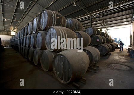 Stockage de vin de Xérès en fûts de chêne à Bodega Perez Barquero en Montilla Banque D'Images