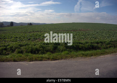 Différentes vues d'Cernivsko (100 kms de Prague le train) - Caractéristiques du sud villages de Bohême ; principalement basée sur l'agriculture Banque D'Images