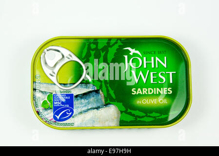Tin de John West Sardines à l'huile d'olive Banque D'Images