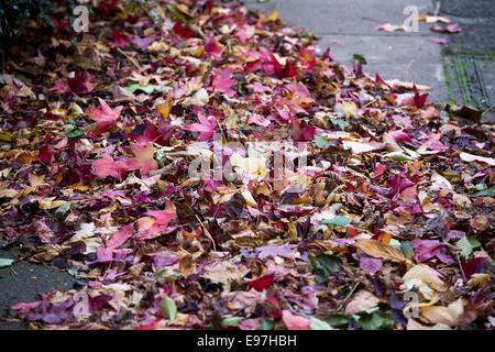 Les feuilles d'automne automne automne coloré tombé de la chaussée Banque D'Images