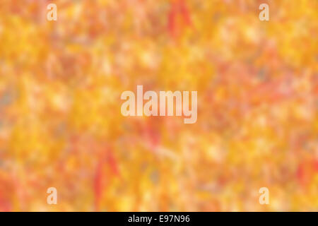 Résumé fond pastel floue, orange, jaune et rouge Banque D'Images