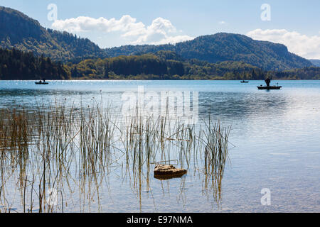 Bateaux de pêche sportive sur le lac tranquille de la Motte ou lac d'Ilay près de Le Frasnois, Jura, Franche Comte, France, Europe Banque D'Images