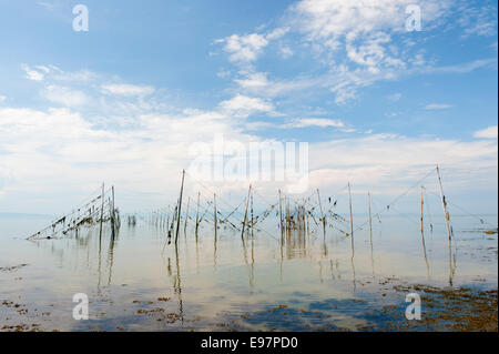 Piège à anguilles sur Saint-Laurent, région de Kamouraska, province de Québec, Canada. Banque D'Images