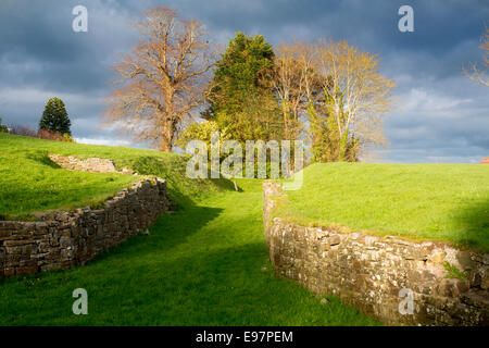 Amphithéâtre romain de Moridunum Carmarthenshire Carmarthen West Wales UK Banque D'Images
