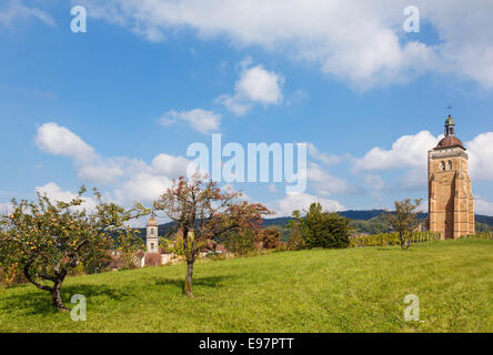 Clocher de l'église Saint Just et d'arbres fruitiers à Arbois, Jura, Franche-Comté, France, Europe Banque D'Images