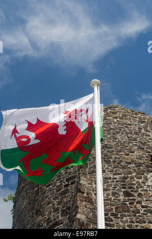 Drapeau Drapeau gallois au Pays de Galles avec dragon rouge Y Ddraig Goch en face de l'une des tours du château de Carmarthen Carmarthenshire West Wales UK Banque D'Images