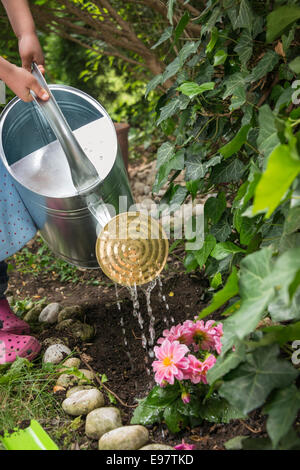 Girl gardening, arrosage des fleurs en lit de fleur Banque D'Images