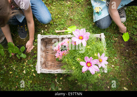 Deux jeunes filles avec des fleurs dans un panier de planter ensemble Banque D'Images