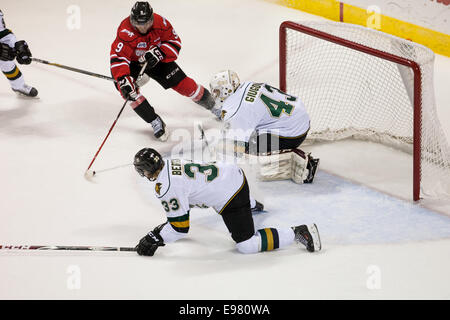 17 octobre, 2014. Le gardien Michael Giugovaz Knights de London (43) se prépare pour un tir de Owen Sound player Ethan Szypula (9) durin Banque D'Images