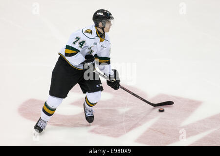 17 octobre, 2014. Aiden Jamieson (74) de la London Knights carreis la rondelle lors d'un match entre les Knights de London et l'Ow Banque D'Images