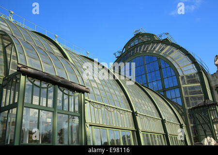 Palm house, Vienne, Autriche, Europe Banque D'Images