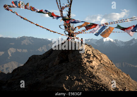 Moine tibétain qui met en place les drapeaux de prières près de monastère au-dessus de Leh, Ladakh, Inde. Banque D'Images