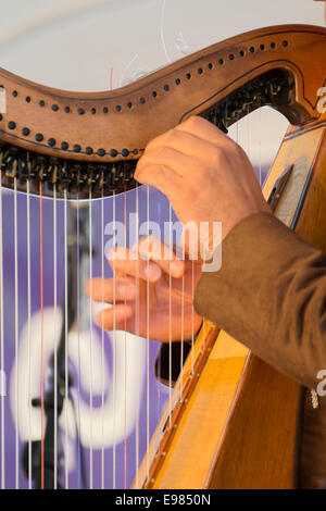 Harpiste Mariachi Banque D'Images