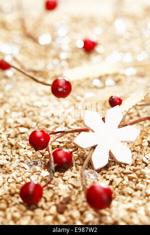 Une étoile blanche et une décoration rouge pour Noël. Toute la série dans mon portefeuille Banque D'Images