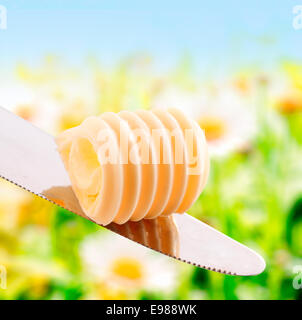 La boucle de l'été frais beurre dans une spirale rouler en équilibre sur un couteau d'argent à l'extérieur dans le soleil d'été avec verdure Banque D'Images