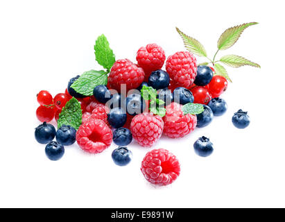 Assortiment de bleuets, framboises et groseilles rouges garnis de menthe dans une pile aléatoire isolated on white Banque D'Images