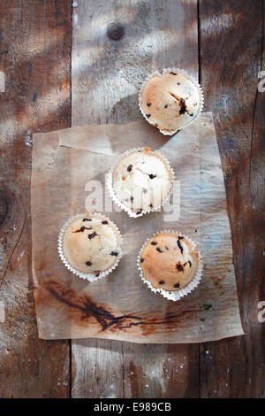 High angle view sur delicious chocolate Muffins sur un grunge vieux papier. Banque D'Images