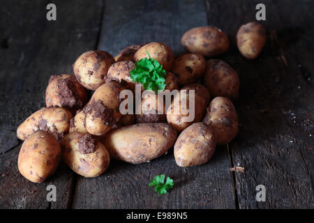 Vue de dessus d'un tas de pommes de terre ferme frais entier sur planches de bois sombre grungy avec texture Banque D'Images