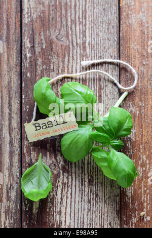 Feuilles de basilic frais allongé sur grungy planches en bois avec une étiquette d'identification ou le nom tag Banque D'Images