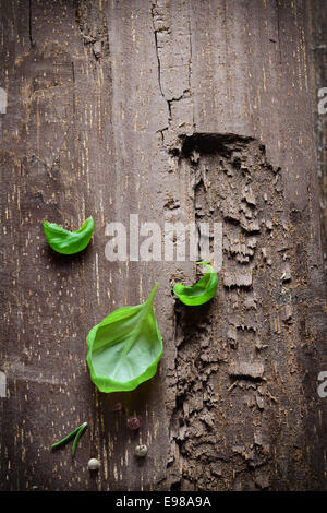 Trois feuilles de basilic vert frais sur une section de vieux bois strié avec copyspace Banque D'Images