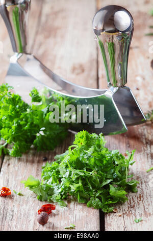 Couper une bande de crinkly frais persil plat pour la décoration à l'aide d'un couvre-culasse en acier inoxydable lame sur une surface en bois Banque D'Images