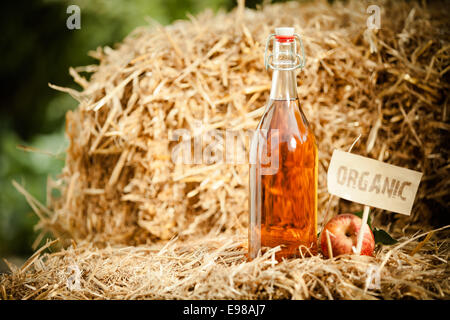 Une bouteille de vinaigre de cidre naturel sur la paille, marqué comme "bio" Banque D'Images