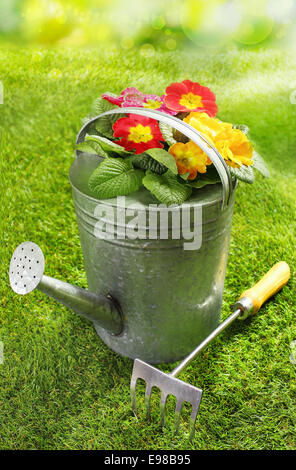 Arrosoir en métal rustique coloré rempli de fleurs d'été rouge et jaune sur une pelouse verte avec un petit jardin à la fourche ou le râteau dans un concept de jardinage et de saison Banque D'Images