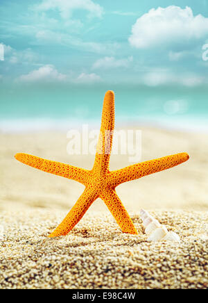 Étoile Orange sur une plage tropicale debout dans le sable doré avec la mer et l'océan derrière, conceptuel de vacances d'été Banque D'Images