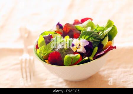 Capucine et salade d'herbes fraîches avec un assortiment de légumes verts sain servi de portions individuelles dans un plat blanc en accompagnement d'un repas Banque D'Images