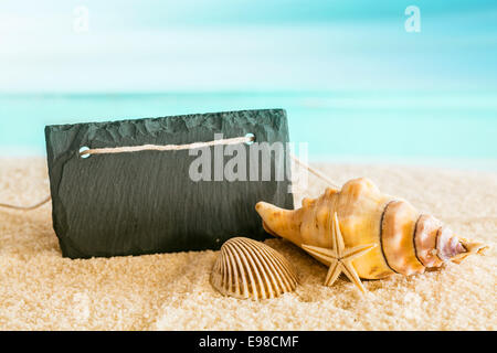 Panneau noir en blanc avec copyspace sur une plage tropicale avec un fond bleu océan bleu azur avec les coquillages et l'étoile de mer dans un cadre idyllique escapade tropicale Banque D'Images