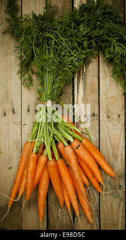 Vue de dessus d'un tas de carottes biologiques frais au marché avec leurs feuilles vertes encore attaché allongé sur une table en bois rustique Banque D'Images