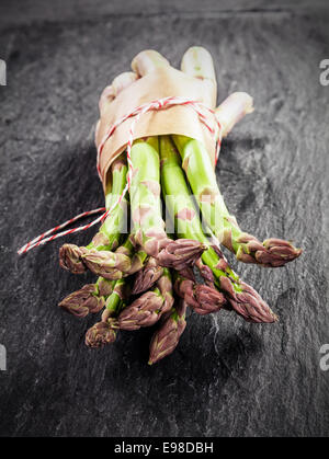 Asperges vertes fraîches livré dans du papier brun et liés avec de la ficelle affichés avec leurs conseils pour l'appareil photo sur une surface texturée gris ardoise Banque D'Images