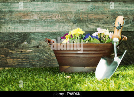 Métal argenté petite truelle de jardin calé contre un baquet rempli de fleurs colorées devant un abri de jardin en bois rustique Banque D'Images