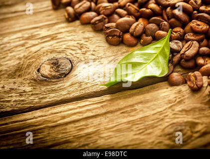 Tas de grains de café frais rôti moyen organisé dans le coin en haut à droite sur driftwood texturé rustique avec noeuds et copyspace ensemble avec une nouvelle feuille de café vert Banque D'Images