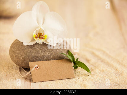 Magnifique spa Nature morte avec une orchidée phalaenopsis blanc frais pur sur une pierre de massage avec un chèque en blanc et marron gift tag Mer sable doré représentant des traitements, soins, bien-être et beauté Banque D'Images