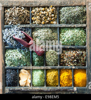 Les herbes et épices assorties dans un vieux bac imprimantes en bois avec une petite cuiller en bois, overhead view Banque D'Images