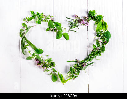 Cadre en forme de cœur assortiment de brins d'herbes culinaires vert frais disposés sur un fond de bois blanc rustique symbolique de l'amour et la romance avec copyspace centrale Banque D'Images