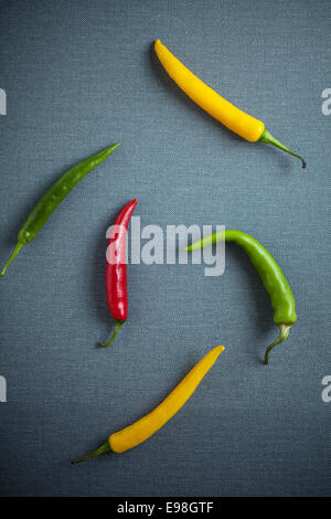 Assortiment de couleurs rouge, vert et jaune des piments frais pour l'utilisation dans cookinng qu'un bain d'épices piquantes allongé sur un gris texturé Banque D'Images